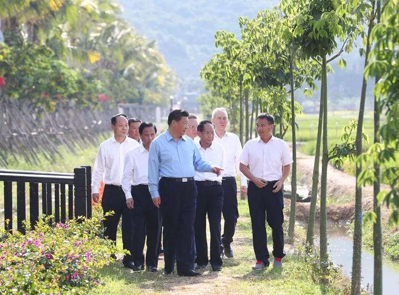 △2018年4月，习近平在国家南繁科研育种基地（海南）同袁隆平等农业技术专家一道，沿着田埂走进“超优千号”超级杂交水稻展示田，察看水稻长势，了解超级杂交稻的产量、口感和推广情况。