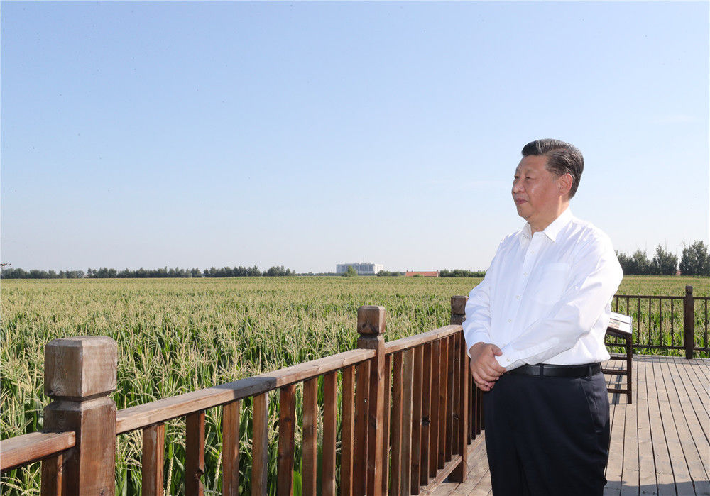 7月22日至24日，中共中央总书记、国家主席、中央军委主席习近平在吉林省考察。这是7月22日下午，习近平考察四平市梨树县国家百万亩绿色食品原料（玉米）标准化生产基地核心示范区地块。